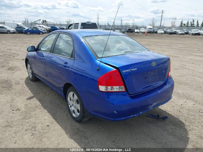 2009 Kia Spectra VIN: KNAFE221095650148 Lot: 12010316