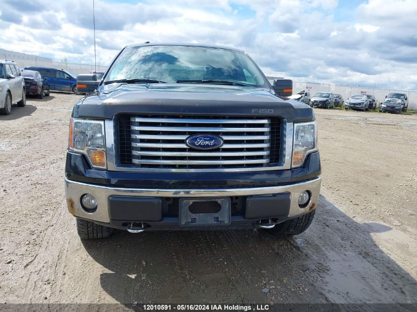 2012 Ford F-150 Xlt VIN: 1FTFX1EF3CFC64923 Lot: 12010591