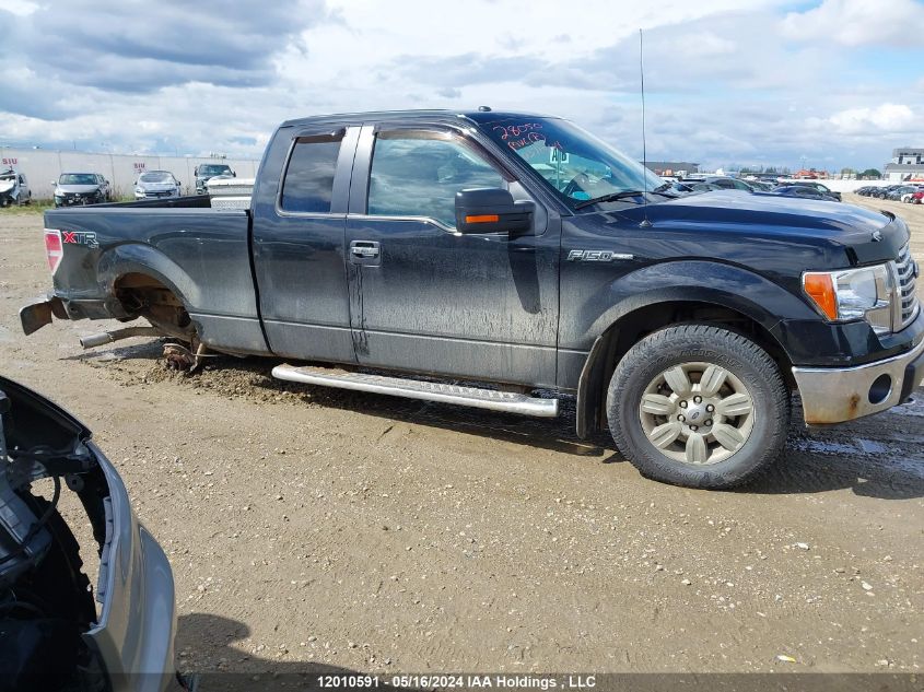 2012 Ford F-150 Xlt VIN: 1FTFX1EF3CFC64923 Lot: 12010591