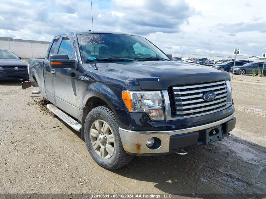 2012 Ford F-150 Xlt VIN: 1FTFX1EF3CFC64923 Lot: 12010591