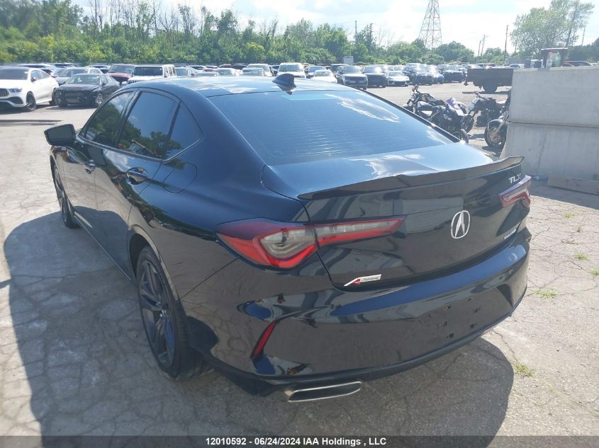 2021 Acura Tlx VIN: 19UUB6F55MA801283 Lot: 12010592