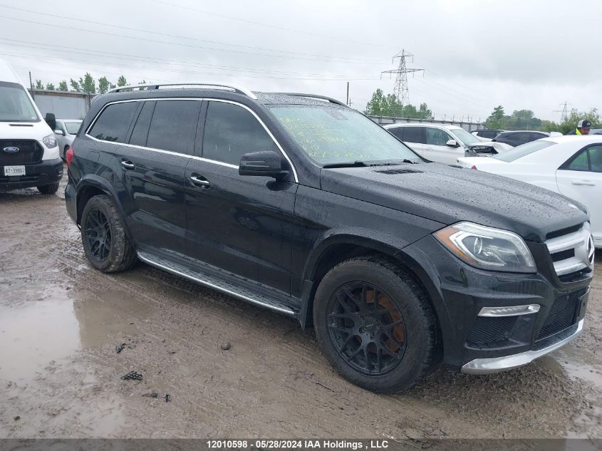 2015 Mercedes-Benz Gl-Class VIN: 4JGDF2EE1FA491466 Lot: 12010598