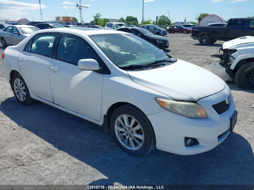 2010 Toyota Corolla VIN: 2T1BU4EE8AC367163 Lot: 12010719