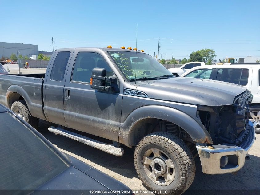 2012 Ford F250 Super Duty VIN: 1FT7X2B61CEA90189 Lot: 12010864