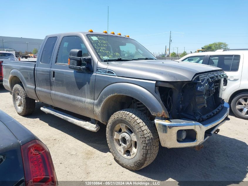 2012 Ford F250 Super Duty VIN: 1FT7X2B61CEA90189 Lot: 12010864