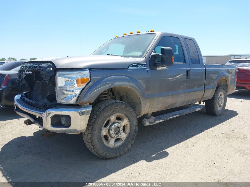 2012 Ford F250 Super Duty VIN: 1FT7X2B61CEA90189 Lot: 12010864