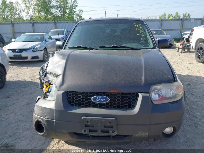 2007 Ford Escape Xlt VIN: 1FMYU03177KA00387 Lot: 12010881