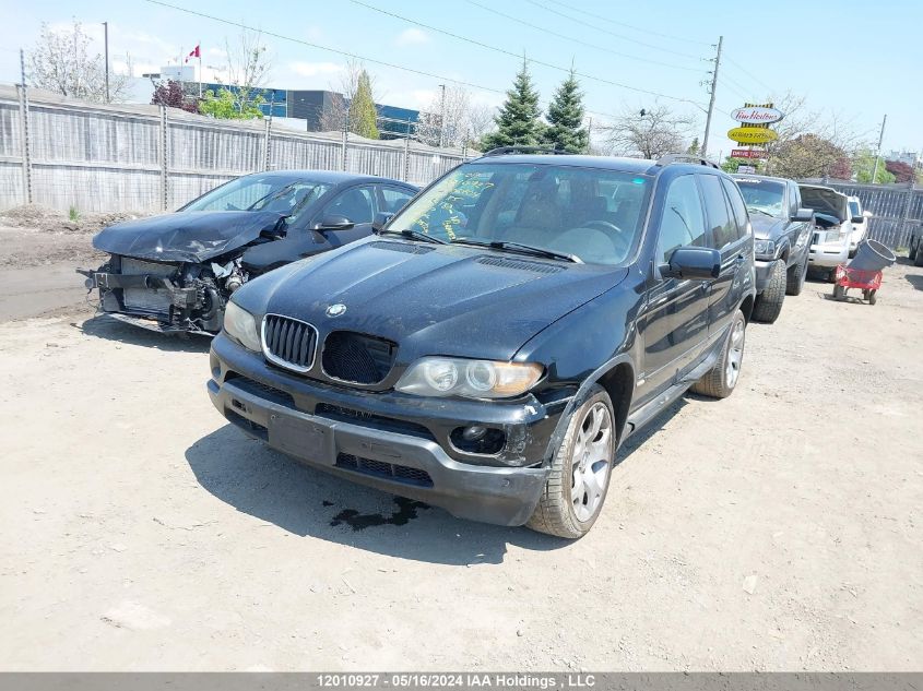 2005 BMW X5 VIN: 5UXFA13585LY06404 Lot: 12010927