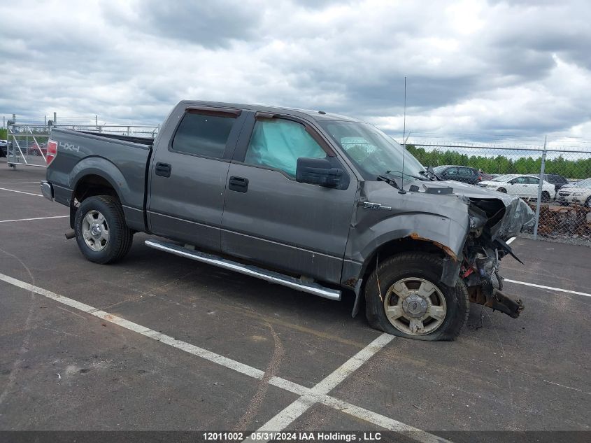 2012 Ford F-150 Xlt VIN: 1FTFW1EF6CFB59909 Lot: 12011002