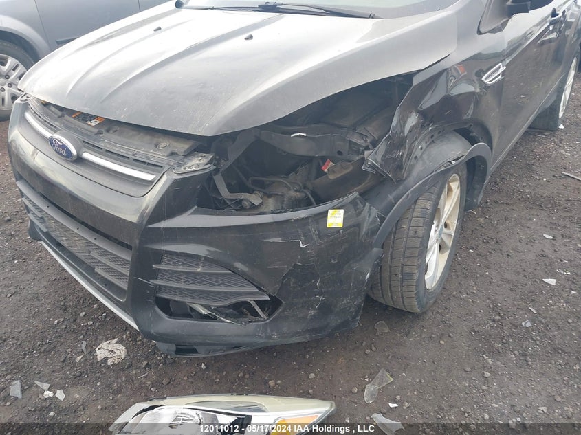2014 Ford Escape Se VIN: 1FMCU9GX4EUA40599 Lot: 12011012