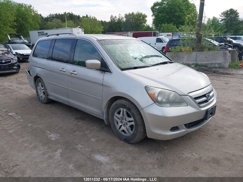 2005 Honda Odyssey Ex-L VIN: 5FNRL387X5B501133 Lot: 12011232