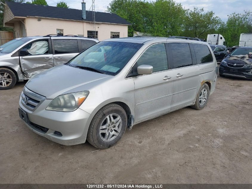 2005 Honda Odyssey Ex-L VIN: 5FNRL387X5B501133 Lot: 12011232