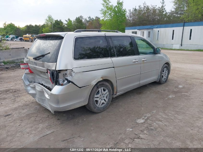 2005 Honda Odyssey Ex-L VIN: 5FNRL387X5B501133 Lot: 12011232