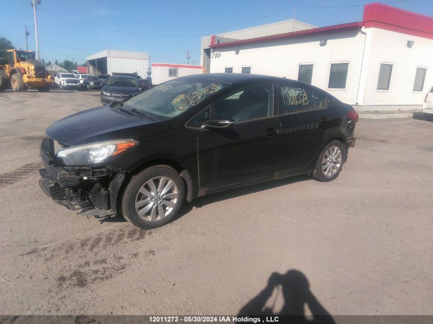 2014 Kia Forte VIN: KNAFX4A67E5072336 Lot: 12011273