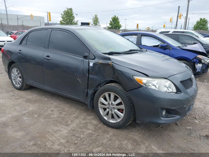 2010 Toyota Corolla VIN: 2T1BU4EE2AC206954 Lot: 12011302