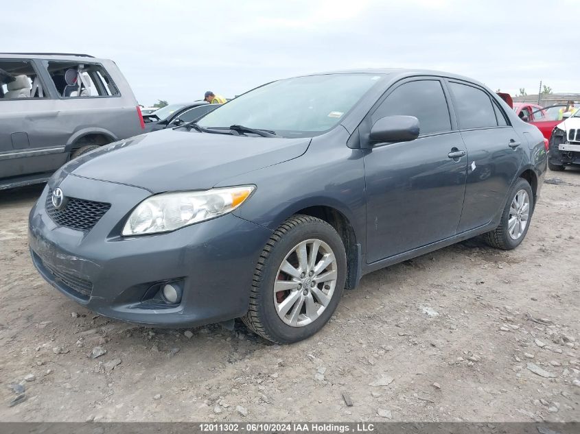 2010 Toyota Corolla VIN: 2T1BU4EE2AC206954 Lot: 12011302