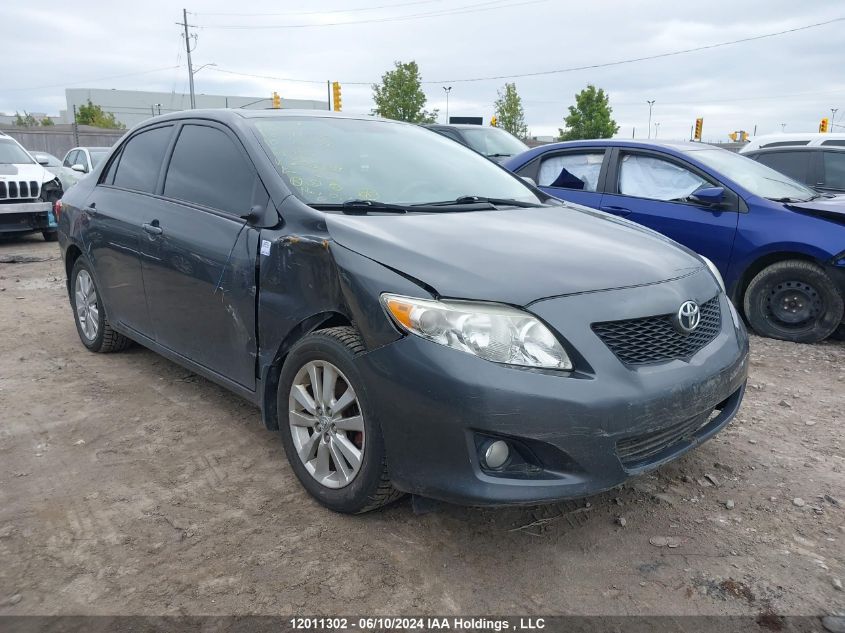 2010 Toyota Corolla VIN: 2T1BU4EE2AC206954 Lot: 12011302