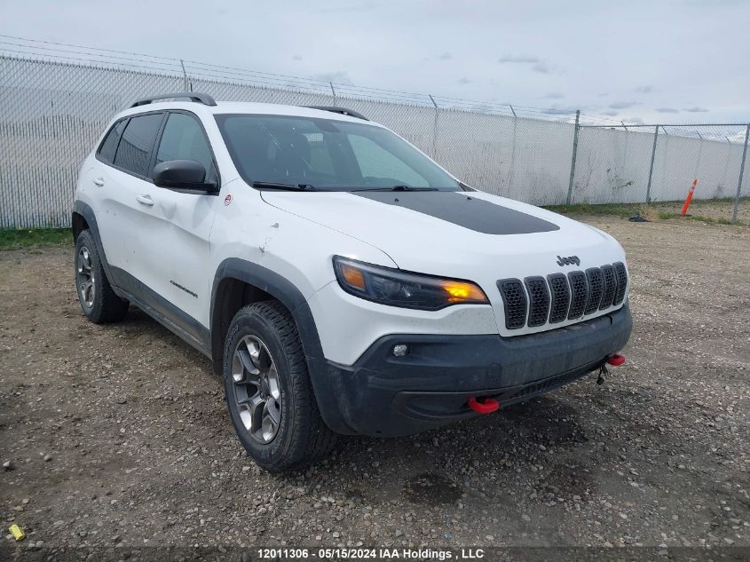 2019 Jeep Cherokee Trailhawk VIN: 1C4PJMBX2KD150152 Lot: 12011306