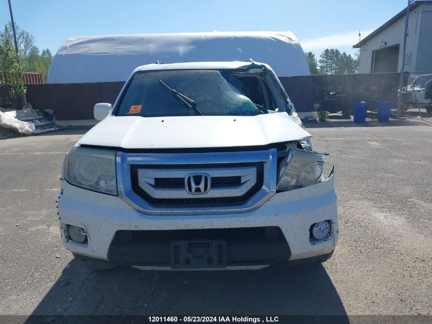 2009 Honda Pilot VIN: 5FNYF489X9B504291 Lot: 12011460