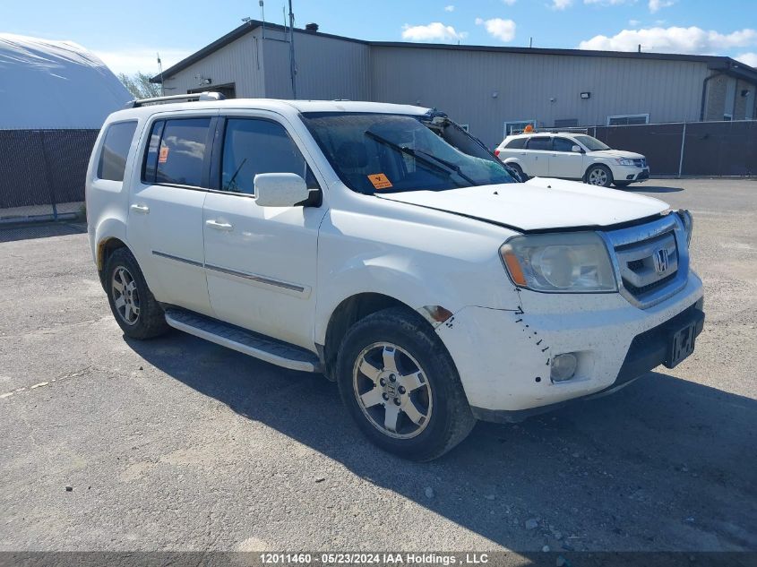 2009 Honda Pilot VIN: 5FNYF489X9B504291 Lot: 12011460