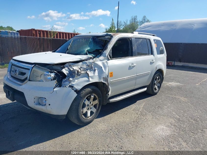 2009 Honda Pilot VIN: 5FNYF489X9B504291 Lot: 12011460