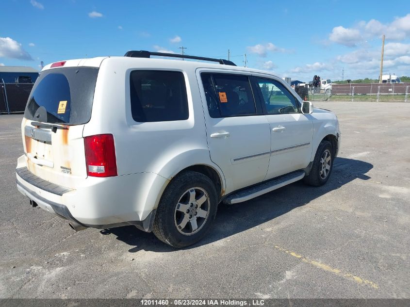 2009 Honda Pilot VIN: 5FNYF489X9B504291 Lot: 12011460