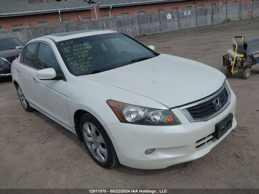 2009 Honda Accord VIN: 1HGCP36829A801514 Lot: 12011570