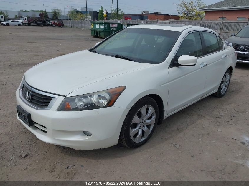 2009 Honda Accord VIN: 1HGCP36829A801514 Lot: 12011570