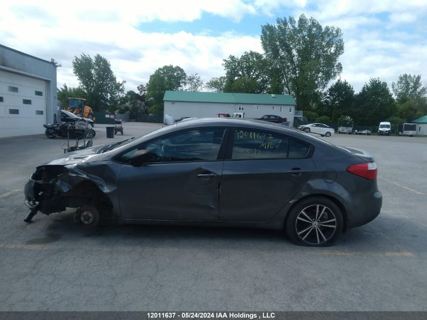 2014 Kia Forte VIN: KNAFK4A69E5078069 Lot: 12011637