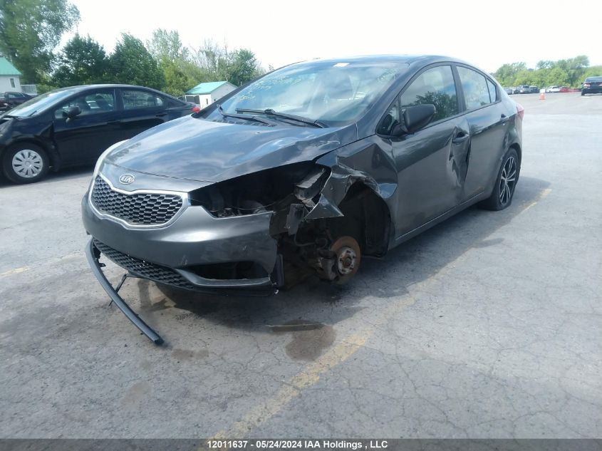 2014 Kia Forte VIN: KNAFK4A69E5078069 Lot: 12011637