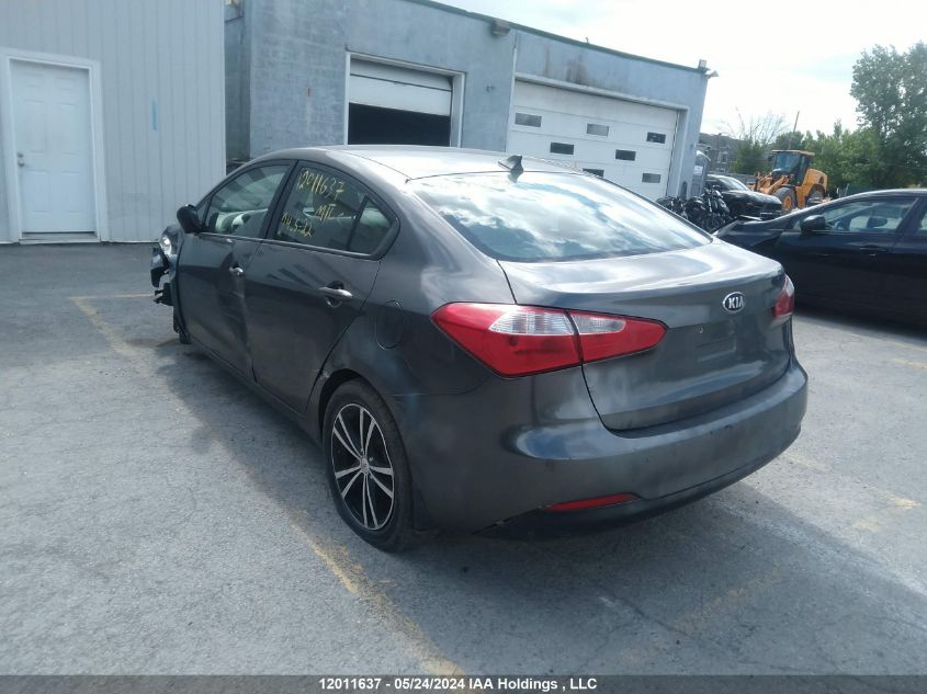 2014 Kia Forte VIN: KNAFK4A69E5078069 Lot: 12011637