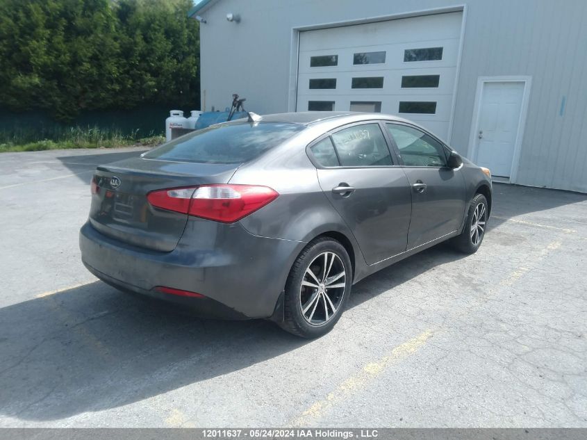 2014 Kia Forte VIN: KNAFK4A69E5078069 Lot: 12011637