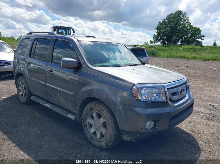 2009 Honda Pilot VIN: 5FNYF48919B503739 Lot: 12011651