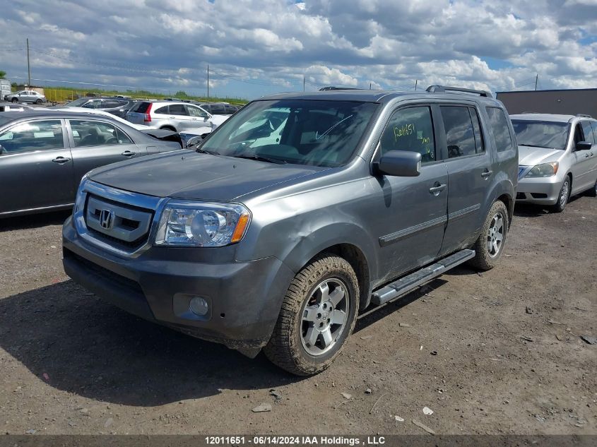 2009 Honda Pilot VIN: 5FNYF48919B503739 Lot: 12011651