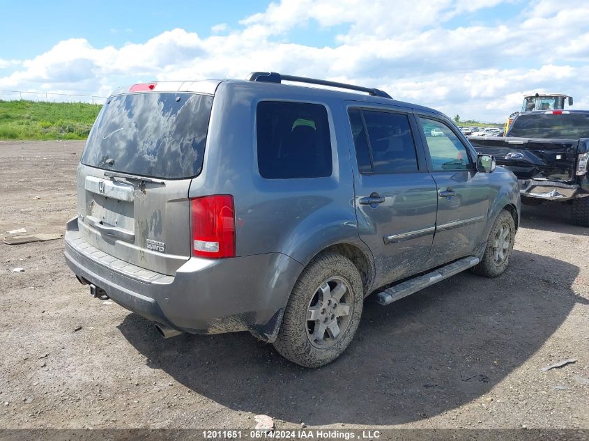 2009 Honda Pilot VIN: 5FNYF48919B503739 Lot: 12011651