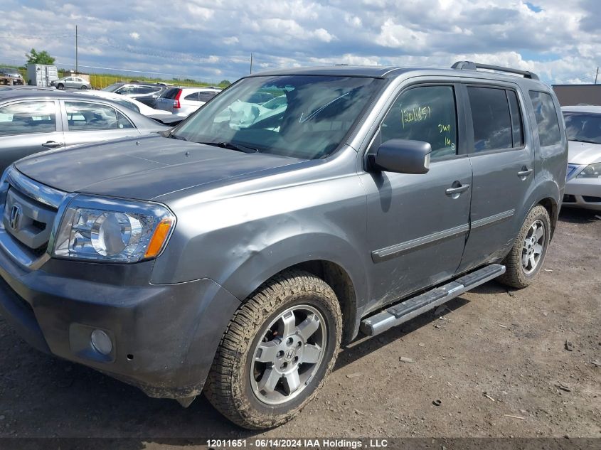 2009 Honda Pilot VIN: 5FNYF48919B503739 Lot: 12011651