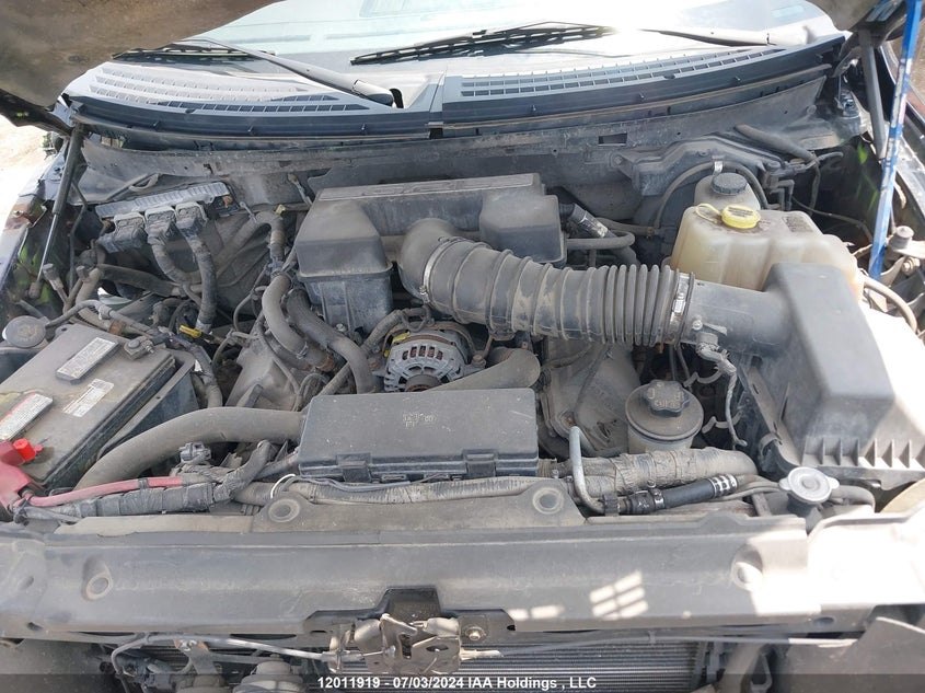 2011 Ford F-150 Platinum VIN: 1FTFW1E65BFA66863 Lot: 12011919