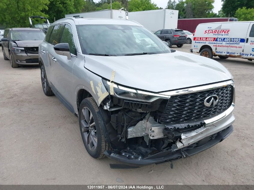 2023 Infiniti Qx60 VIN: 5N1DL1FS0PC348473 Lot: 12011957