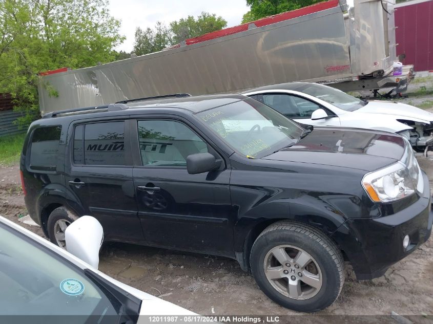 2009 Honda Pilot VIN: 5FNYF48569B504978 Lot: 12011987