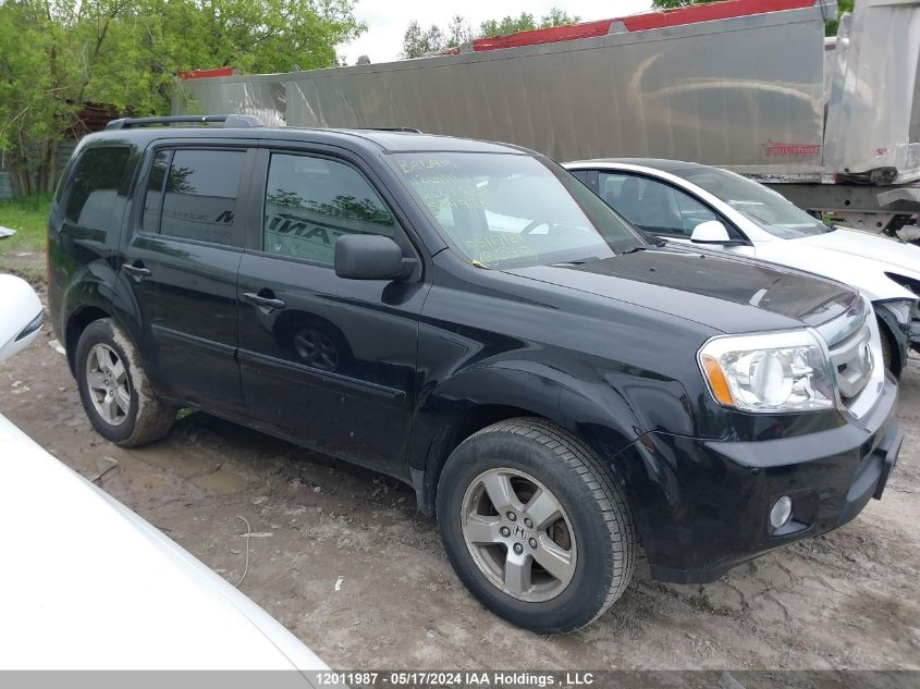 2009 Honda Pilot VIN: 5FNYF48569B504978 Lot: 12011987