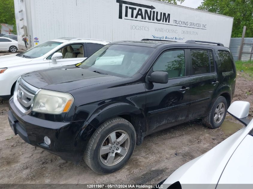 2009 Honda Pilot VIN: 5FNYF48569B504978 Lot: 12011987