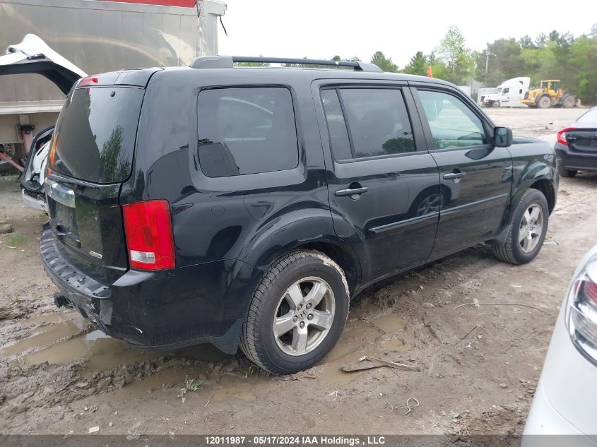 2009 Honda Pilot VIN: 5FNYF48569B504978 Lot: 12011987