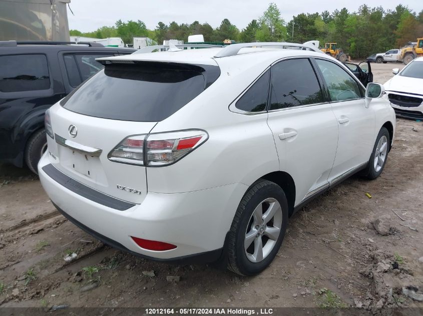 2010 Lexus Rx 350 VIN: JTJBK1BA8A2419019 Lot: 12012164