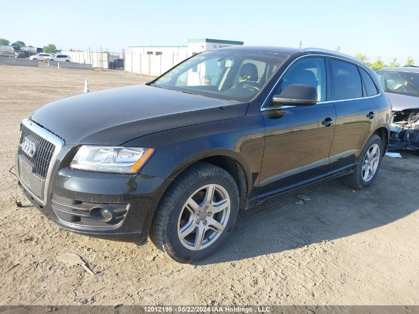 2012 Audi Q5 VIN: WA1LFCFP7CA080276 Lot: 12012198