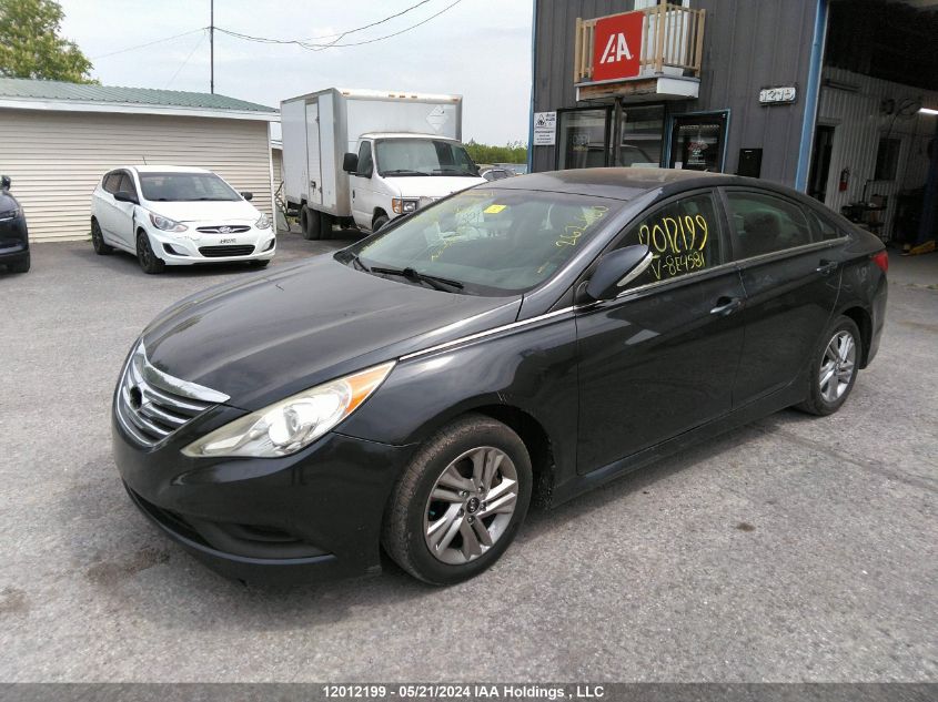 2014 Hyundai Sonata VIN: 5NPEB4AC8EH824581 Lot: 12012199