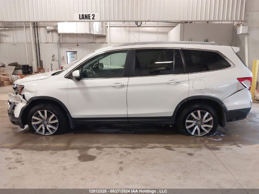 2021 Honda Pilot Black VIN: 5FNYF6H75MB501799 Lot: 12012325