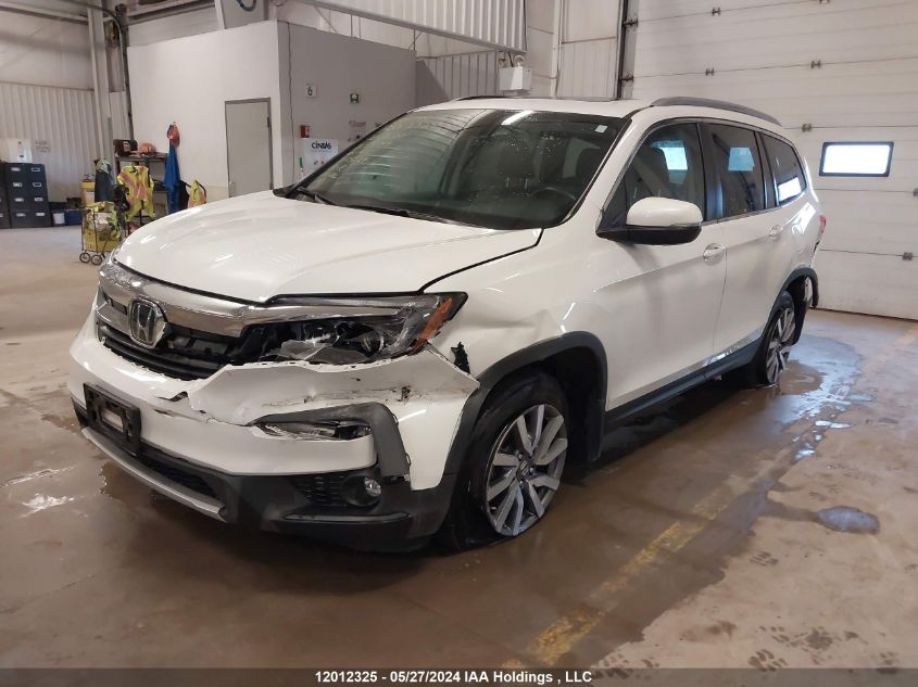 2021 Honda Pilot Black VIN: 5FNYF6H75MB501799 Lot: 12012325