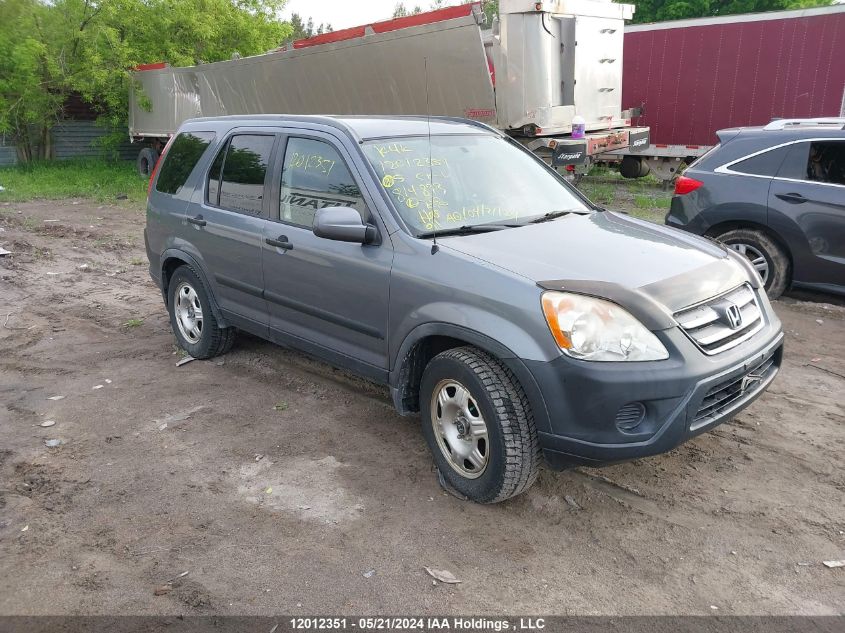 2005 Honda Cr-V VIN: JHLRD78835C814893 Lot: 12012351