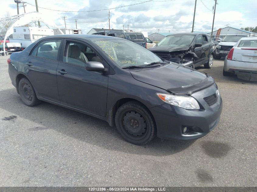 2009 Toyota Corolla S/Le/Xle VIN: 2T1BU40E99C083043 Lot: 12012396