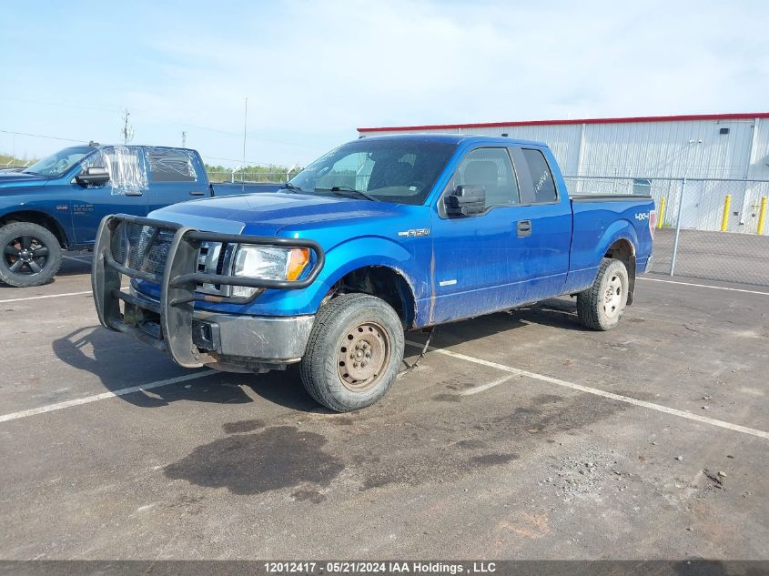 2012 Ford F-150 Xlt VIN: 1FTFX1ET1CFA90677 Lot: 12012417